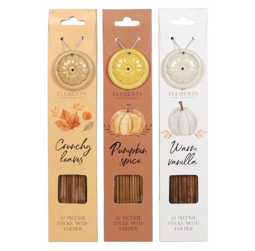AUTUMN ACCENTS INCENSE STICKS (pumpkin spice)