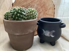 Triple moon plant pot