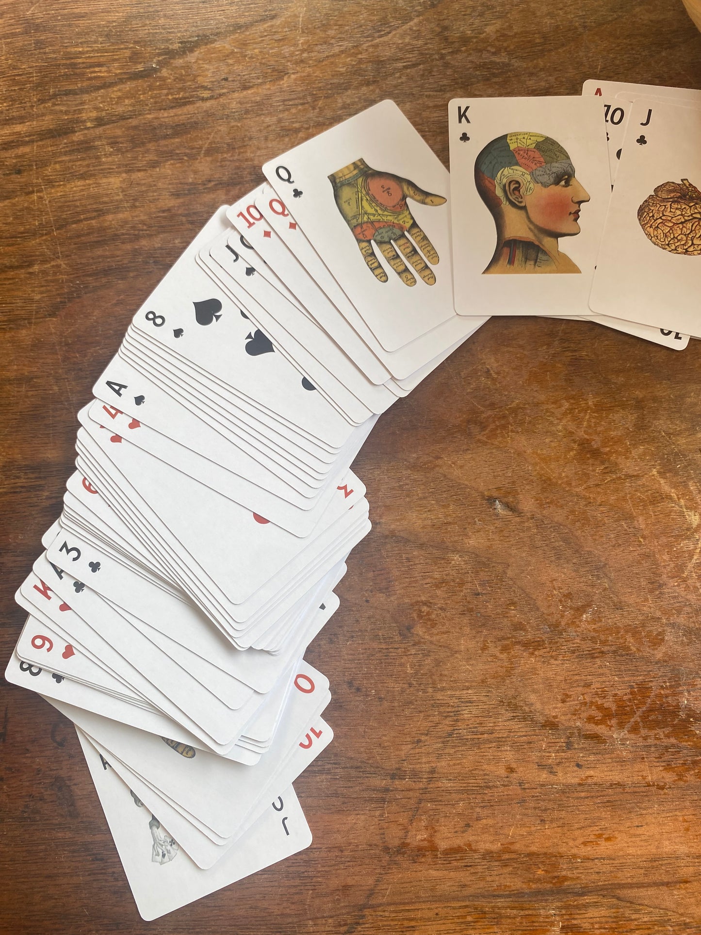 Phrenology deck of cards