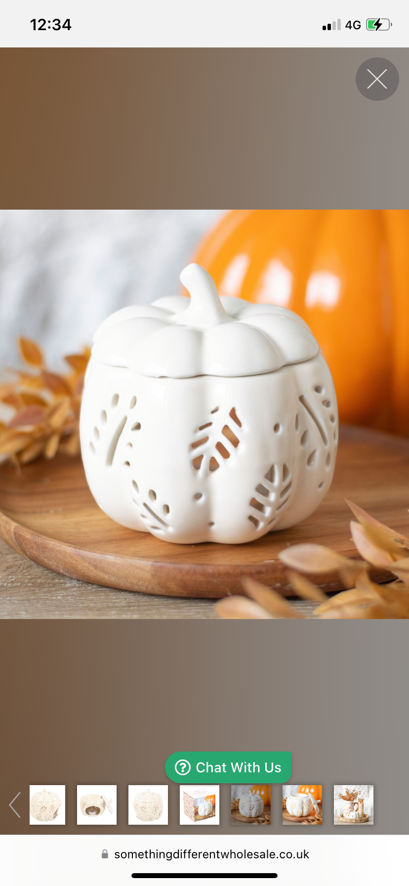 Off white ceramic pumpkin leaves oil burner